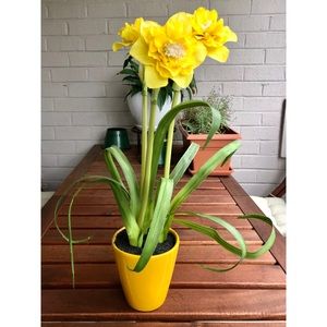 Faux Potted Daffodils